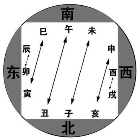 巳寅|分解十二地支最深刻的解读3（寅）